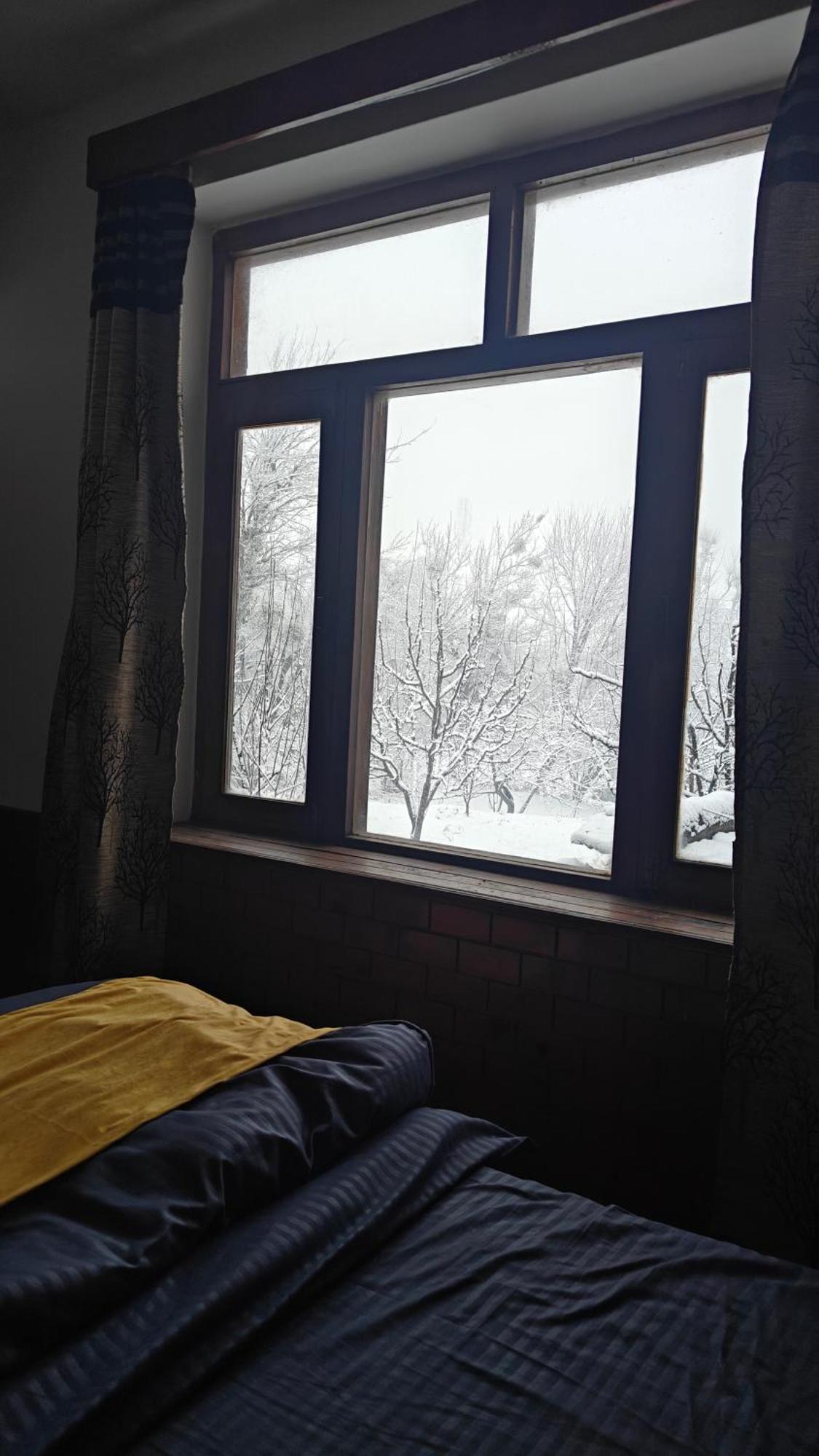 Basecamp Manali Hostel Cameră foto